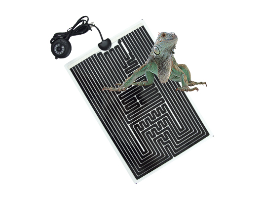 reptile heating pad （ten-tap position thermostat ）