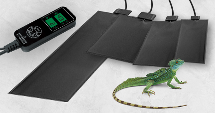 PVC Reptile Heating Pad: Reliable Warmth for Your Cold-Blooded Companion
