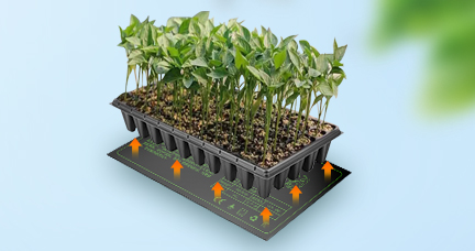 Seeding Heating Pad: Optimal Growth Conditions for Your Seedlings